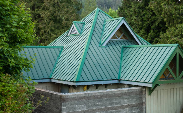 Best Solar Panel Roofing Installation  in Holland, MI