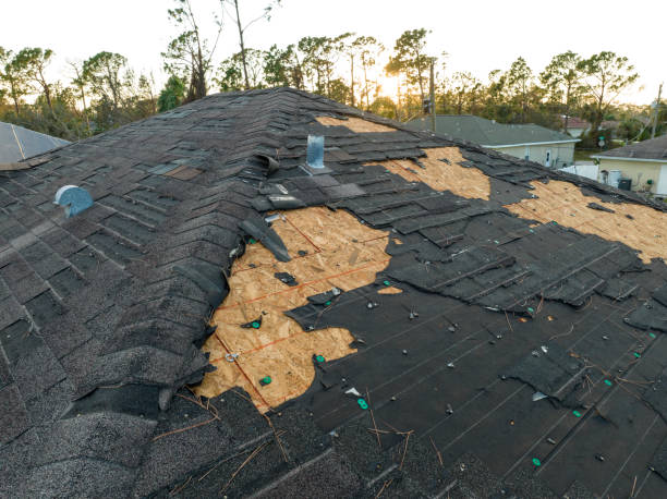 Best 4 Ply Roofing  in Holland, MI