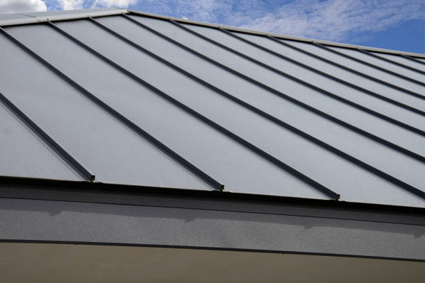 Best Emergency Roof Repair Services  in Holland, MI